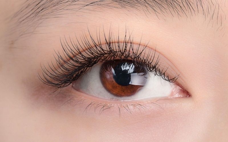 Uốn mi Collagen giúp đôi mắt trông to tròn, quyến rũ hơn